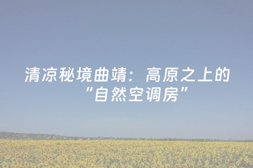 今日实测“微乐麻将怎么让系统发好牌”（详细透视教程）-哔哩哔哩