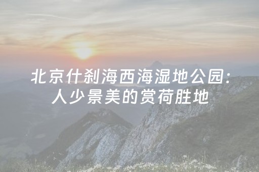 玩家必看教程！“微乐麻将专用神器”（详细辅助教程）-哔哩哔哩