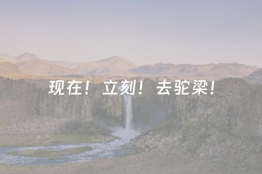 分享辅助“手机麻将胡牌神器软件”（详细透视教程）-哔哩哔哩