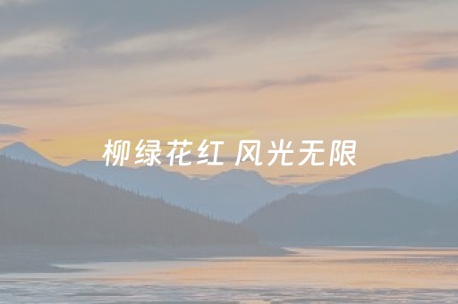 玩家必备教程“普通自动麻将机有没有万能控制器”（详细透视教程）-哔哩哔哩