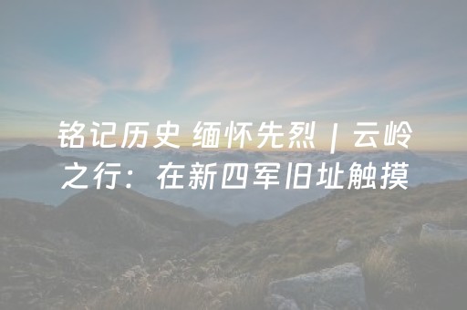 玩家必看教程！“普通麻将机手机控牌器在哪买”（详细开挂教程）-哔哩哔哩