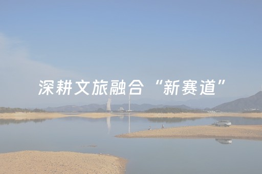 2分钟秒懂！“微信手机打麻将怎么赢”（详细辅助教程）-哔哩哔哩