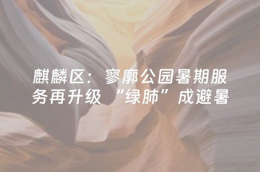 终于发现了“微乐吉林麻将插件”（详细透视教程）-哔哩哔哩