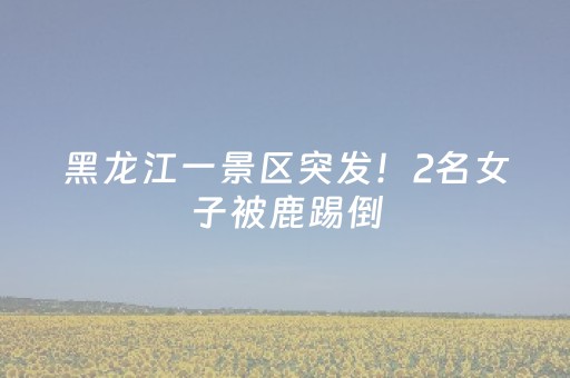 必看教程！“微乐广东麻将如何赢的秘诀”（详细透视教程）-哔哩哔哩
