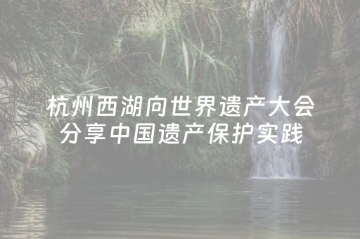 玩家必看教程！“手机打牌神器高科技”（详细辅助教程）-哔哩哔哩