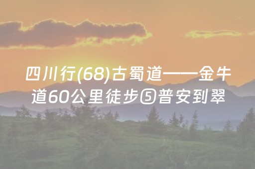 我来教大家“微乐陕西麻将挖坑专用神器（助赢神器通用版）