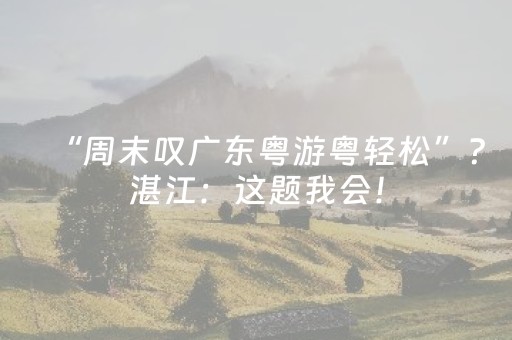 必看教程！“广东雀神插件安装包”（详细开挂教程）-哔哩哔哩