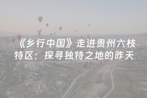 今日实测“微乐麻将助赢神器可试用”（详细开挂教程）-哔哩哔哩