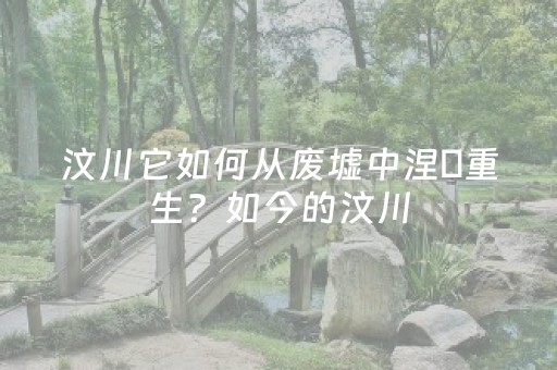 必看教程！“手机扑克透明神器”（详细开挂教程）-哔哩哔哩