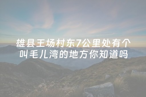 分享辅助“兴动互娱修改器免费”（详细透视教程）-哔哩哔哩
