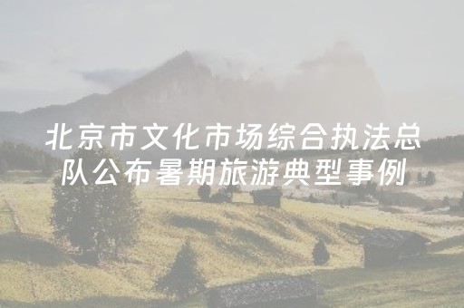 北京市文化市场综合执法总队公布暑期旅游典型事例