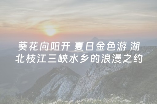 今日实测“吉祥填大坑辅助器通用版”（详细开挂教程）-哔哩哔哩