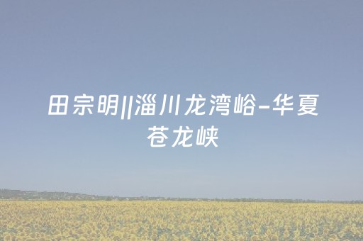 玩家必看攻略“雀神秘籍安卓app下载”（详细透视教程）-哔哩哔哩
