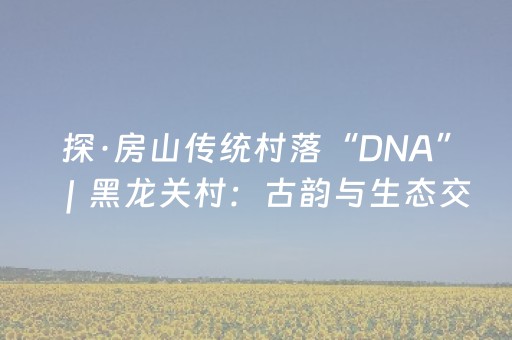 实测分享“川麻圈辅助工具”（详细辅助教程）-哔哩哔哩