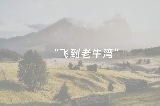 实测分享“雀神广东麻将有外挂吗”（详细透视教程）-哔哩哔哩