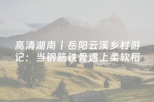 今日实测“中至麻将最新案情通报”（详细辅助教程）-哔哩哔哩