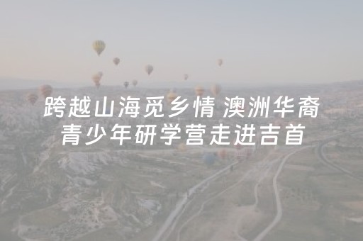 玩家必备教程“17好友麻将怎么才能赢”（详细透视教程）-哔哩哔哩