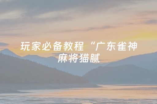 玩家必备教程“广东雀神麻将猫腻（助赢神器通用版）