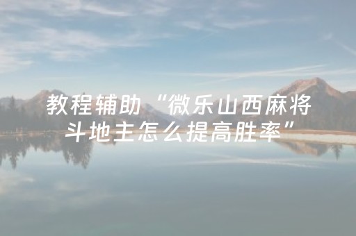 教程辅助“微乐山西麻将斗地主怎么提高胜率”（详细透视教程）-哔哩哔哩
