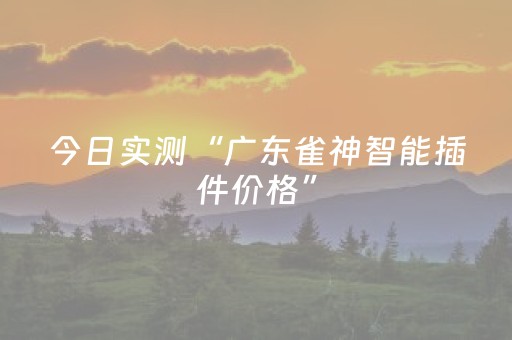 今日实测“广东雀神智能插件价格”（详细开挂教程）-哔哩哔哩