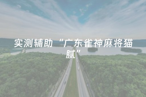 实测辅助“广东雀神麻将猫腻”（详细透视教程）-哔哩哔哩