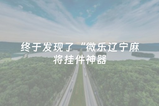 终于发现了“微乐辽宁麻将挂件神器（助赢神器通用版）