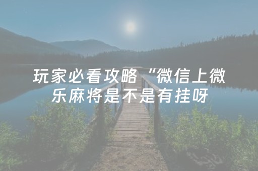 玩家实测“手机雀神麻将软挂神器”（详细透视教程）-哔哩哔哩