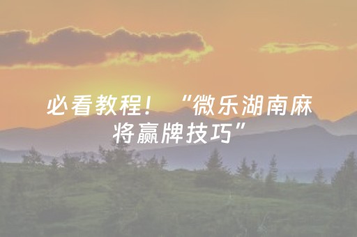 必看教程！“微乐湖南麻将赢牌技巧”（详细透视教程）-哔哩哔哩