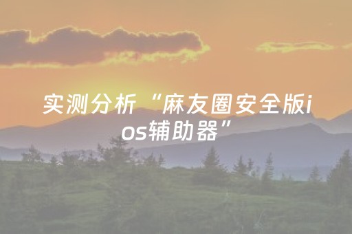 实测分析“麻友圈安全版ios辅助器”（详细开挂教程）-哔哩哔哩