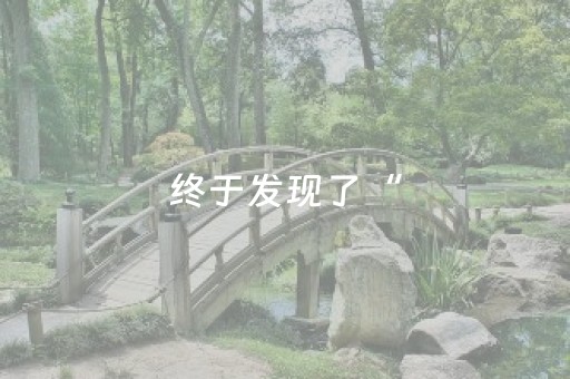 终于发现了“（助赢神器通用版）