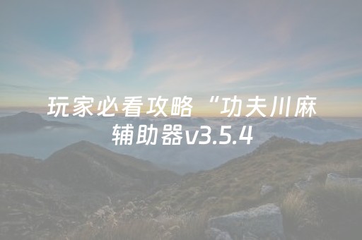 玩家必看攻略“功夫川麻辅助器v3.5.4（专用辅牌神器免安装）