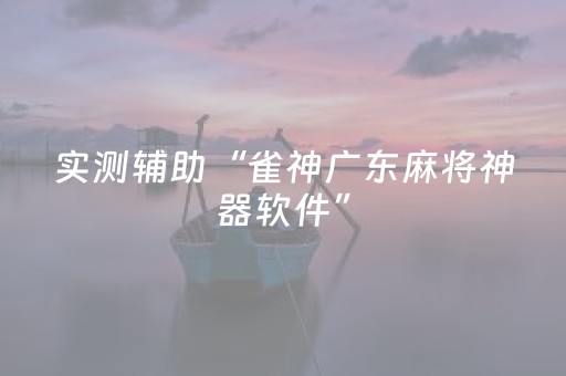 实测辅助“雀神广东麻将神器软件”（详细透视教程）-哔哩哔哩