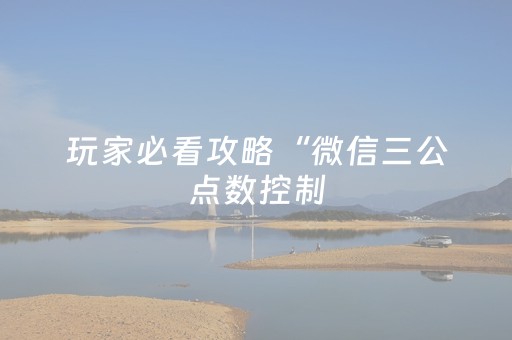 玩家必看攻略“微信三公点数控制（助赢神器通用版）