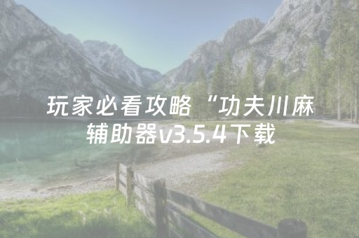 今日盘点“手机红中麻将软挂神器”（详细透视教程）-哔哩哔哩