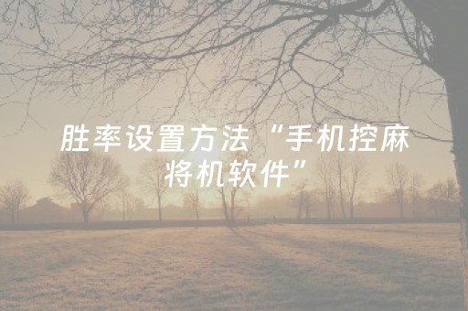 今日盘点“手机十三张辅助器”（详细透视教程）-哔哩哔哩