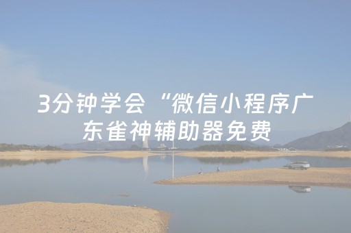 教程辅助“17麻将众娱大菠萝有挂”（详细透视教程）-哔哩哔哩