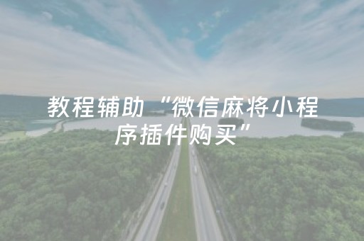 教程辅助“微信麻将小程序插件购买”（详细透视教程）-哔哩哔哩