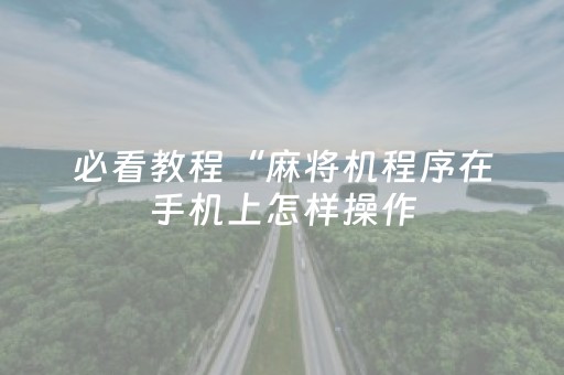 必看教程“麻将机程序在手机上怎样操作（助赢神器通用版）