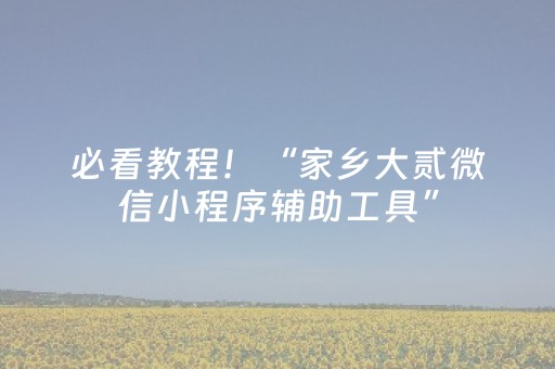 必看教程！“家乡大贰微信小程序辅助工具”（详细开挂教程）-哔哩哔哩