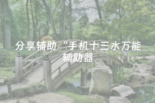 分享辅助“手机十三水万能辅助器（专用辅牌神器免安装）