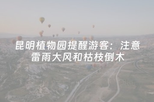 玩家必看教程！“手机金花辅助器通用版”（详细开挂教程）-哔哩哔哩