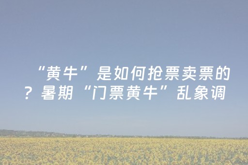 “黄牛”是如何抢票卖票的？暑期“门票黄牛”乱象调查