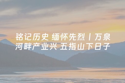 铭记历史 缅怀先烈丨万泉河畔产业兴 五指山下日子甜——琼崖革命老区焕新颜