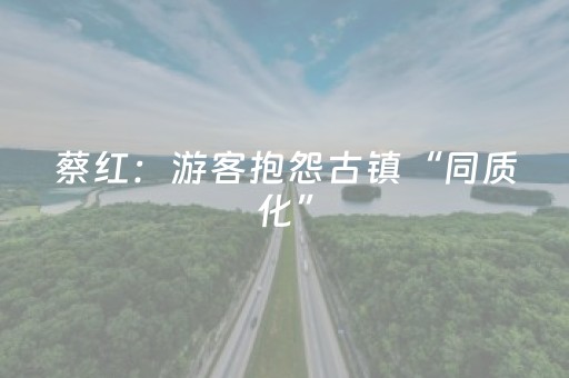 蔡红：游客抱怨古镇“同质化”，反感的是什么