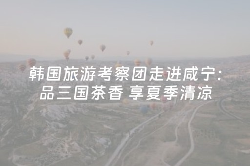 2分钟秒懂！“手机控牌app”（详细辅助教程）-哔哩哔哩