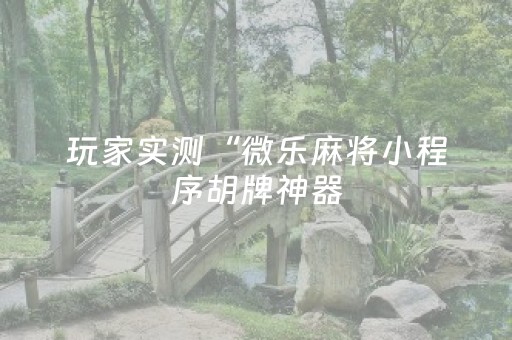玩家实测“微乐麻将小程序胡牌神器（专用辅牌神器免安装）