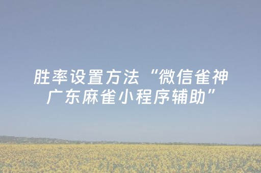 胜率设置方法“微信雀神广东麻雀小程序辅助”（详细透视教程）-哔哩哔哩