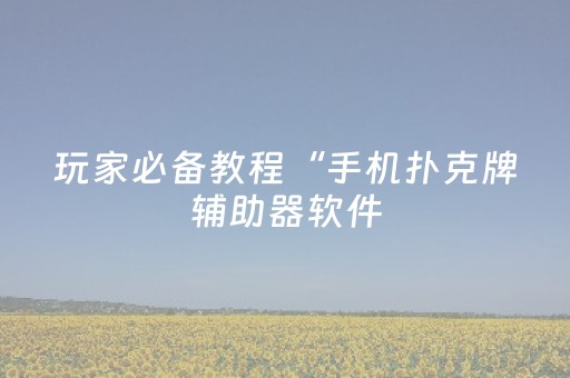 玩家必备教程“手机扑克牌辅助器软件（专用辅牌神器免安装）
