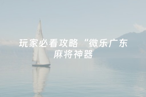 玩家必看攻略“微乐广东麻将神器（专用辅牌神器免安装）