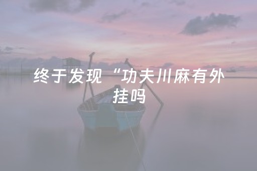 终于发现“功夫川麻有外挂吗（专用辅牌神器免安装）